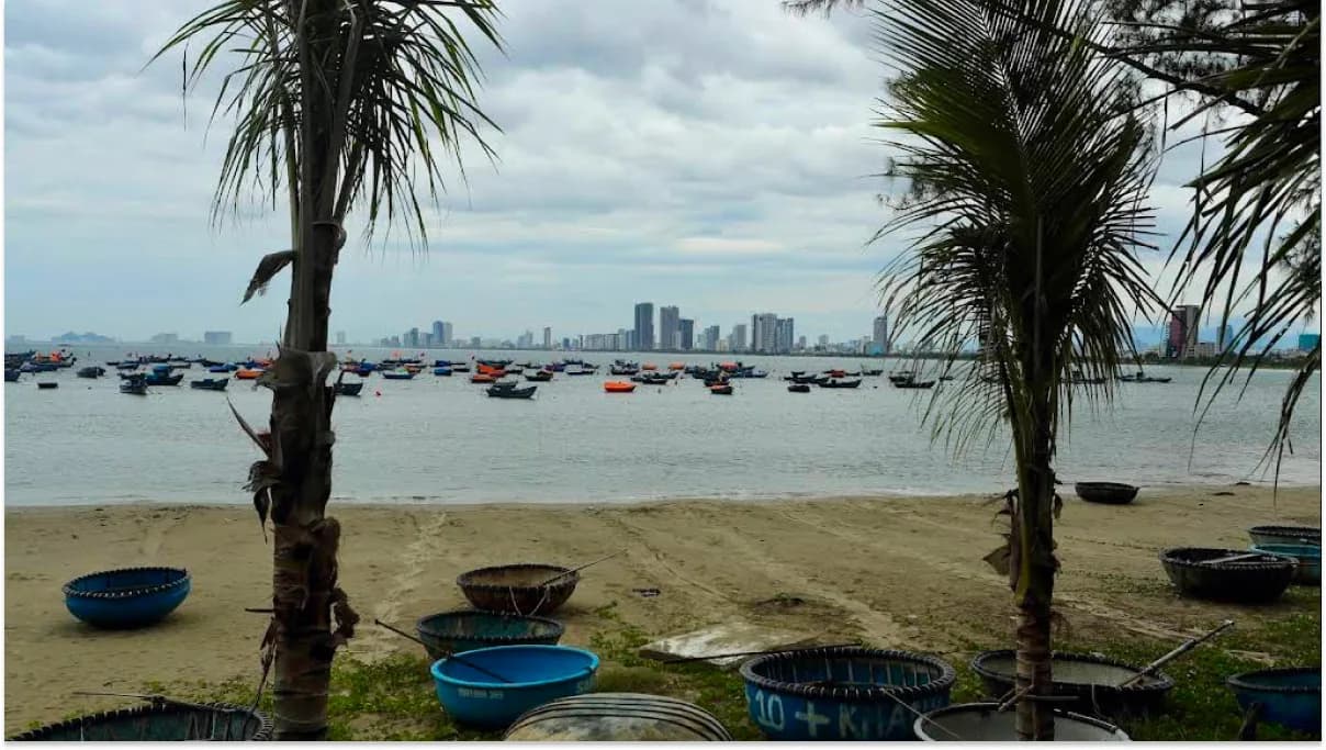 Palm trees along My Khe Beach