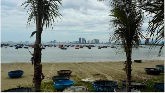 Palm trees along My Khe Beach