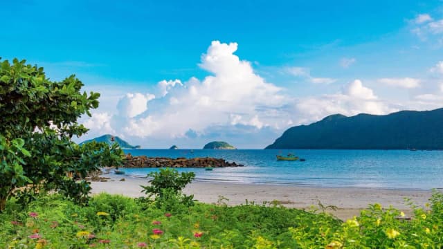 Con Dao Island - detail 06