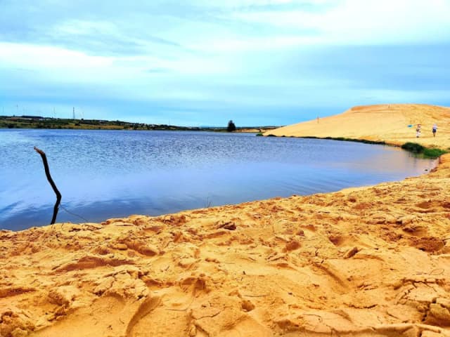 Red Sand Dune detail 01