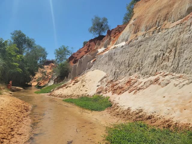 Red Sand Dune detail 02