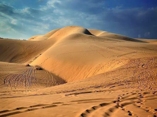 Red Sand Dune detail 05