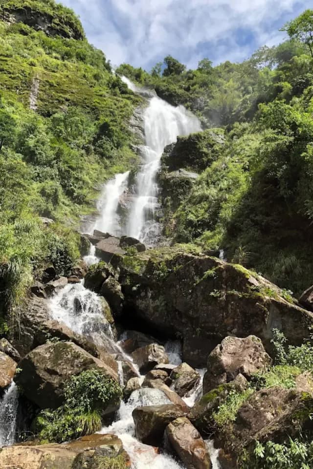 Powerful stream of Silver Waterfall flowing through lush green forest