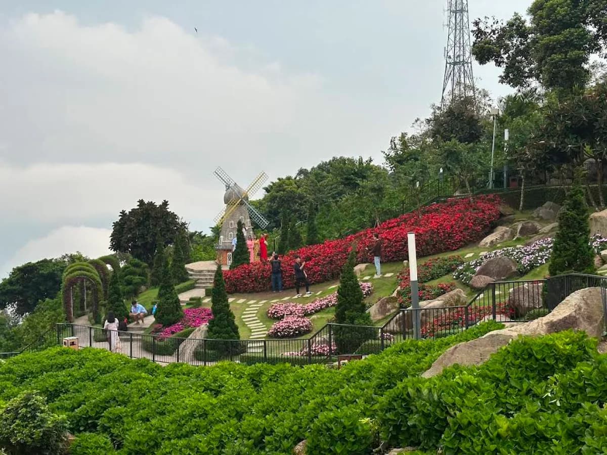 Black Virgin Mountain - detail 1