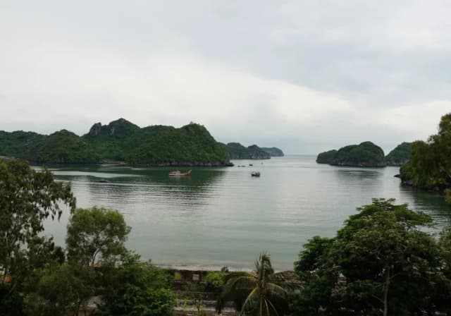 Cat Ba Island landscape surrounded by lush greenery and calm sea