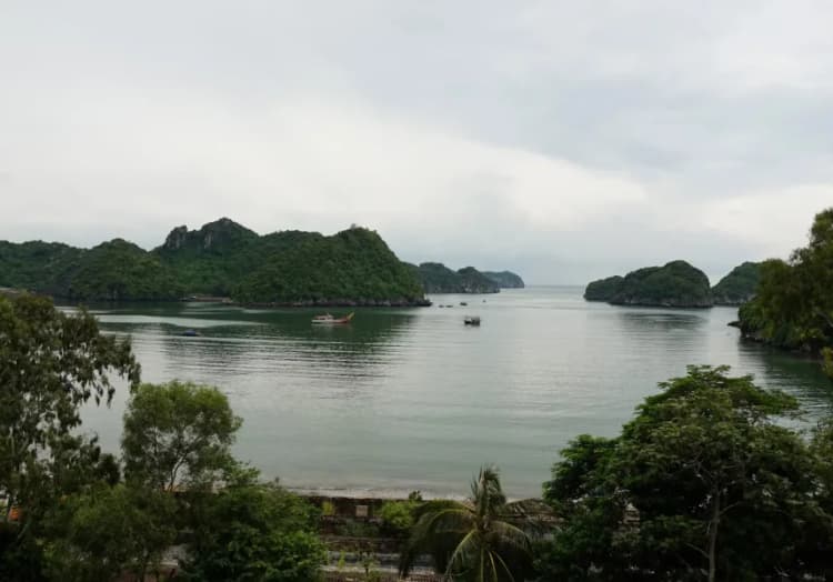 Cat Ba Island landscape surrounded by lush greenery and calm sea