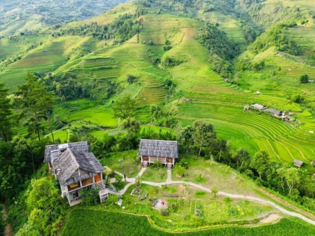 Mu Cang Chai detail 01