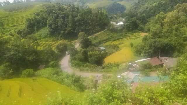 Mu Cang Chai detail 06