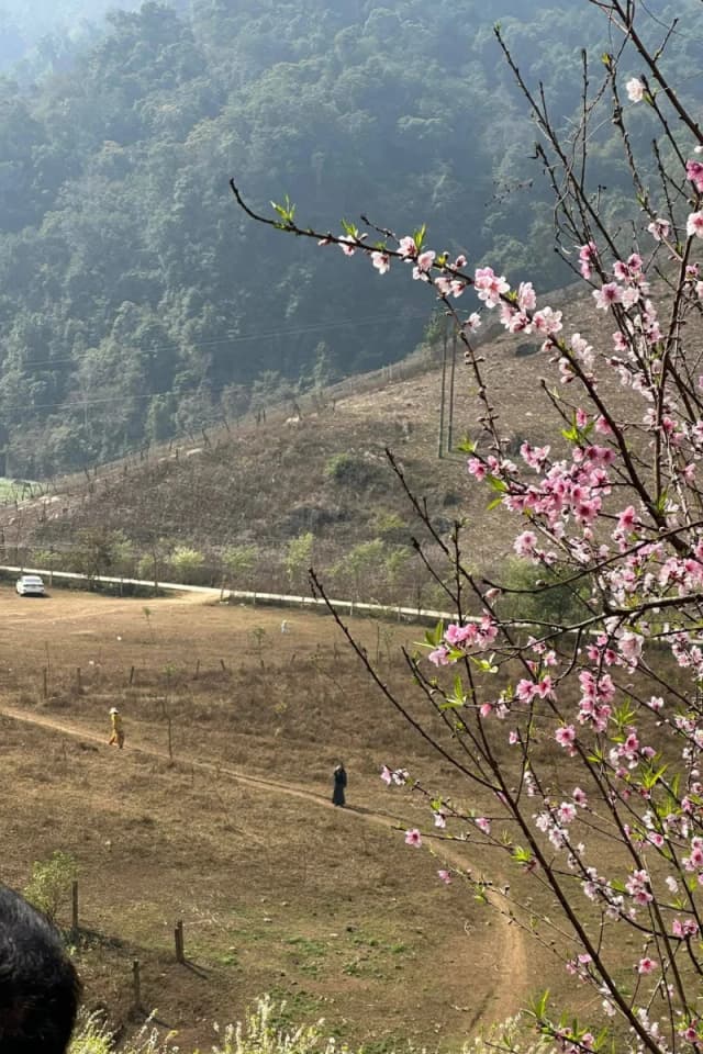 Moc Chau Plateau - detail 01