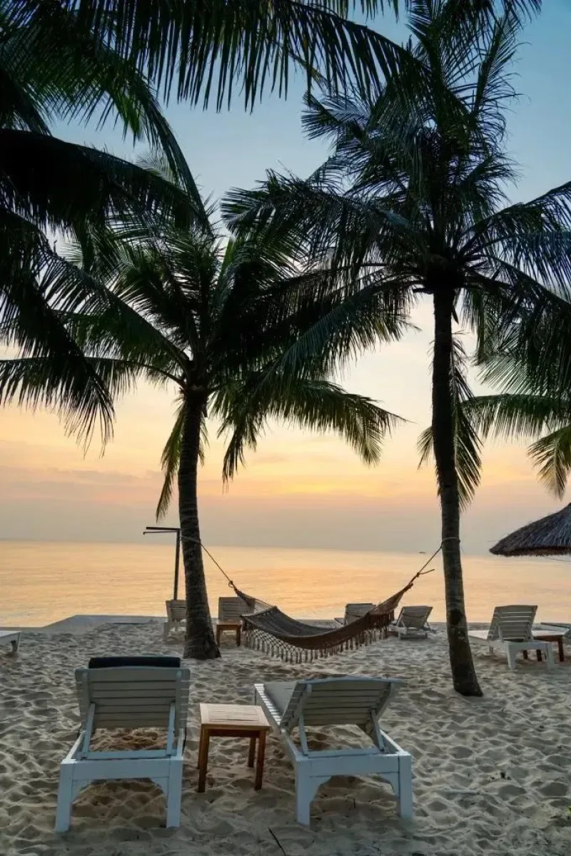 Palm trees lining Phu Quoc Island beaches