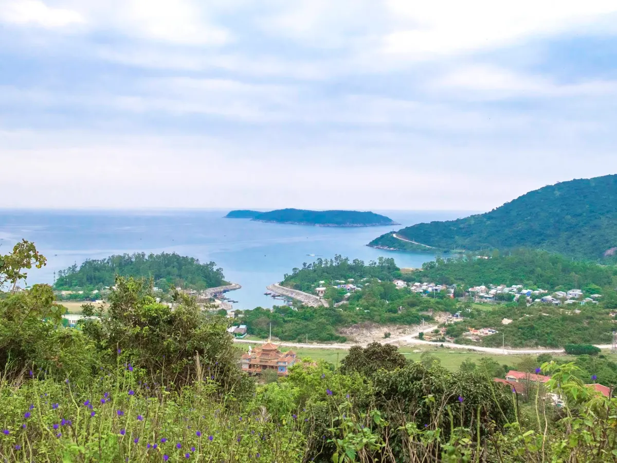 Cham Islands detail 03