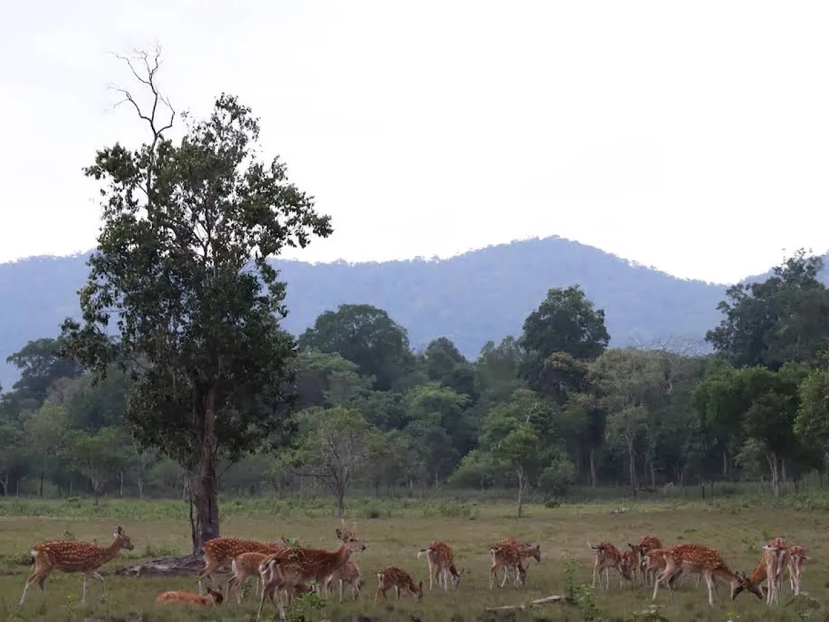 Kon Ka Kinh National Park