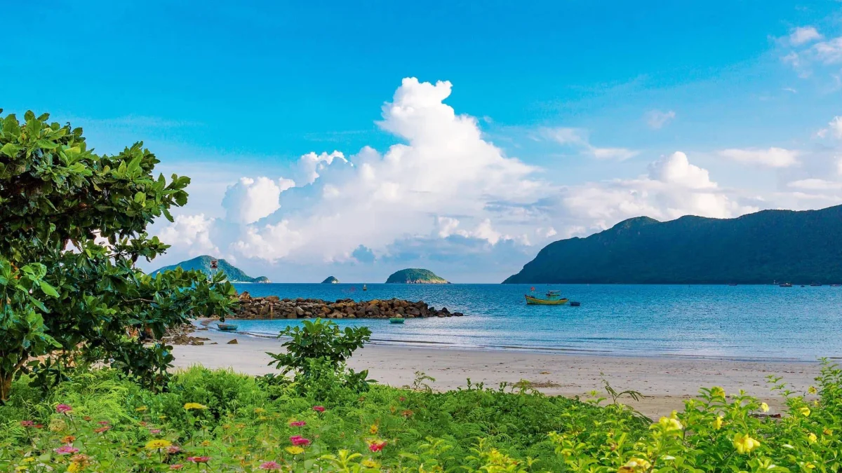 Con Dao Island - detail 06