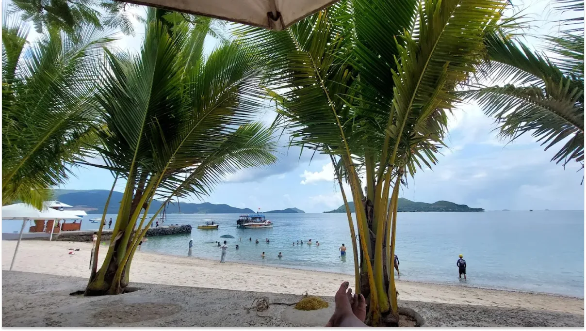 Palm trees along Nha Trang Beach