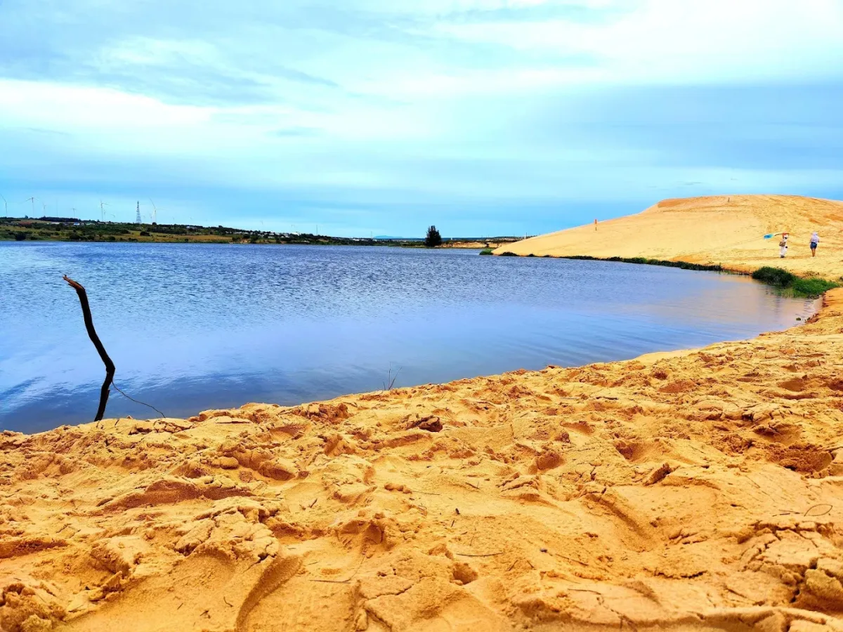 Red Sand Dune detail 01