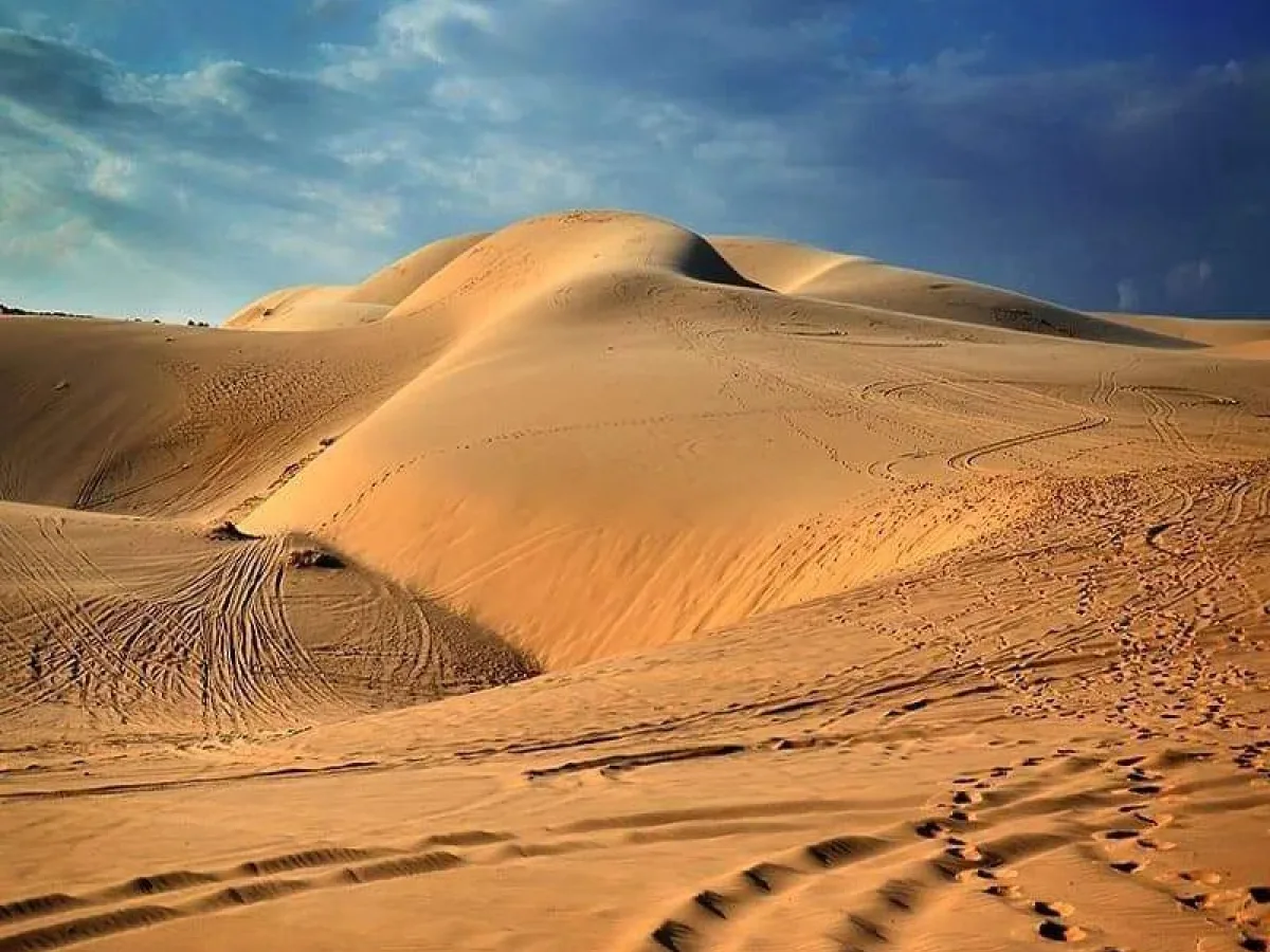 Red Sand Dune detail 05