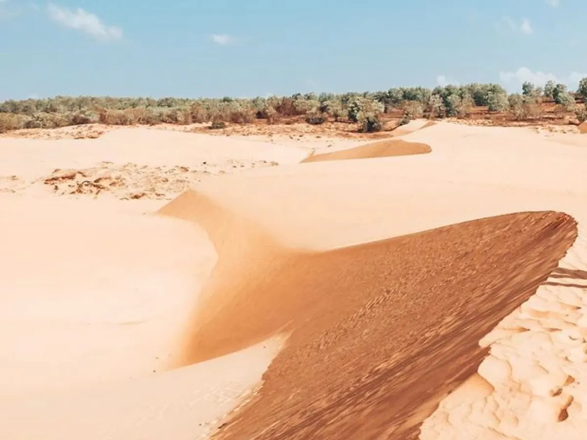 Red Sand Dune detail 06