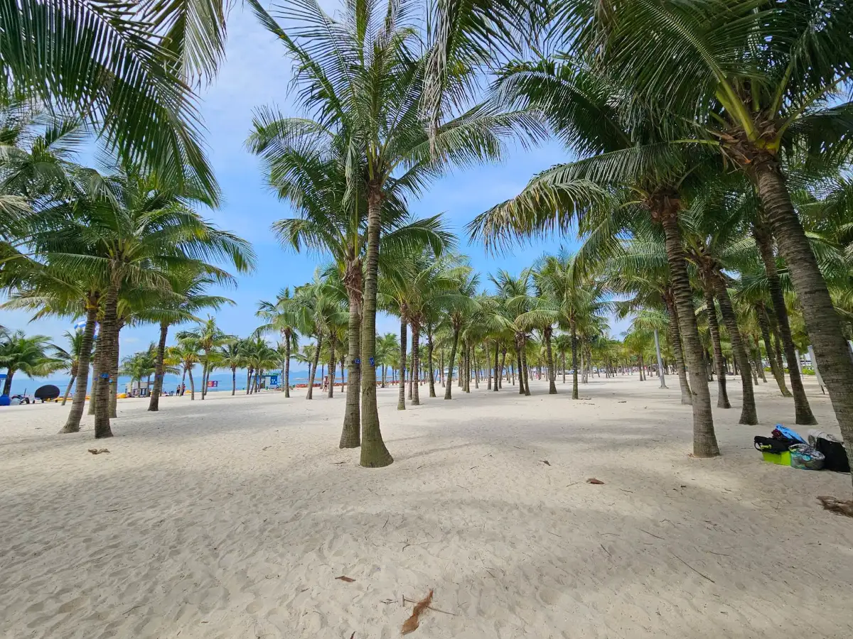 Bai Chay Beach detail 01