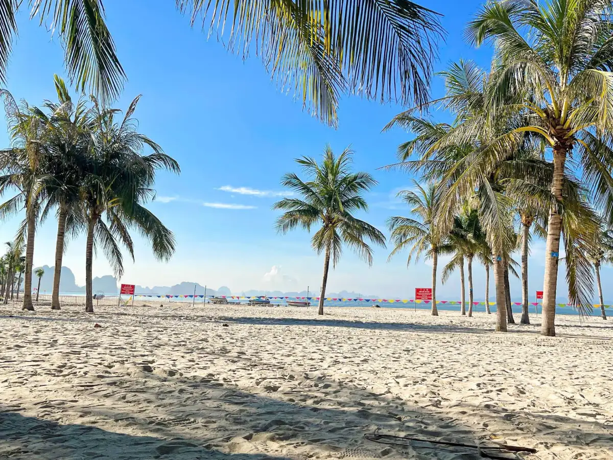 Bai Chay Beach detail 04