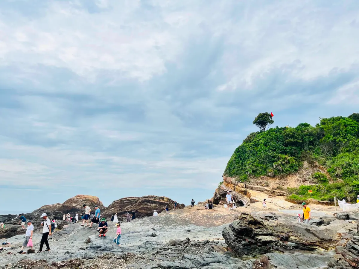 Co To Island detail 01