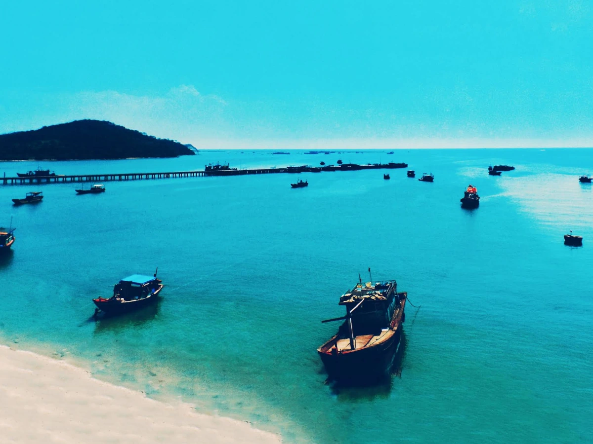 Co To Island detail 02