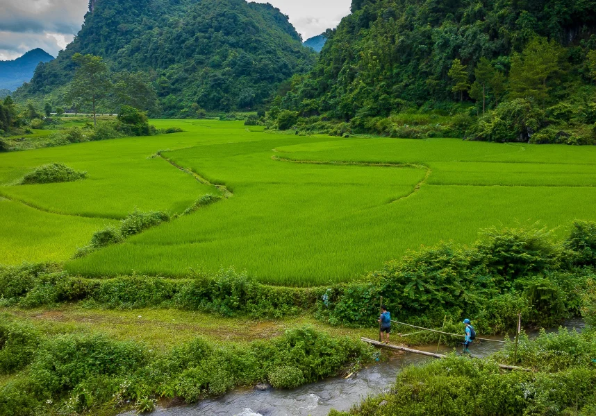 Aerial view of rice fields in Cao Bang Geopark surrounded by mountains