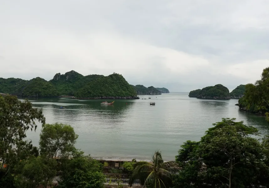 Cat Ba Island landscape surrounded by lush greenery and calm sea