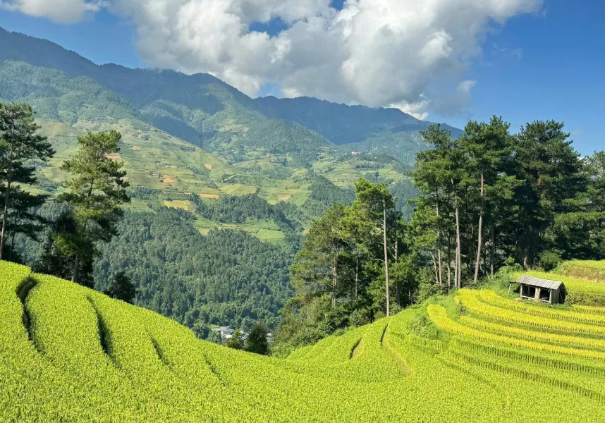 Mu Cang Chai terraced rice fields in northern Vietnam