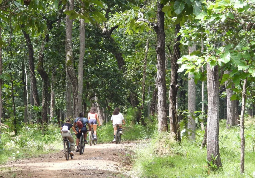 Traveler cycling in Yok Don National Park, Vietnam