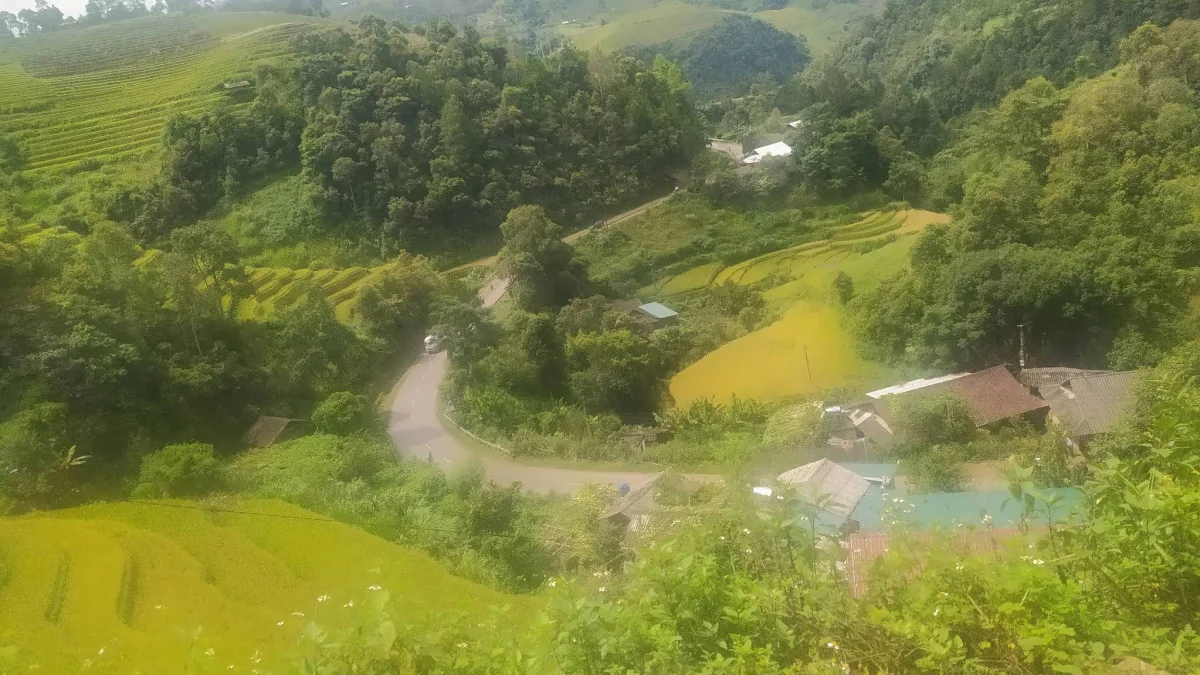 Mu Cang Chai detail 06